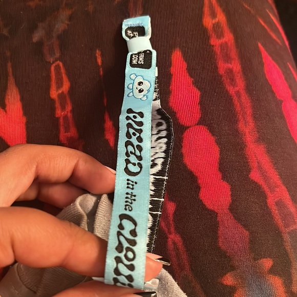 HEAD IN THE CLOUDS 2023 ( General Admission)wristbands - Picture 2 of 2